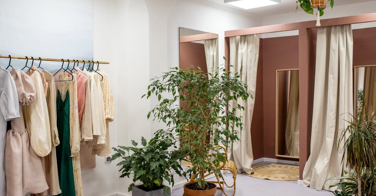 Things to do and places to visit in Rosebery, New South Wales
